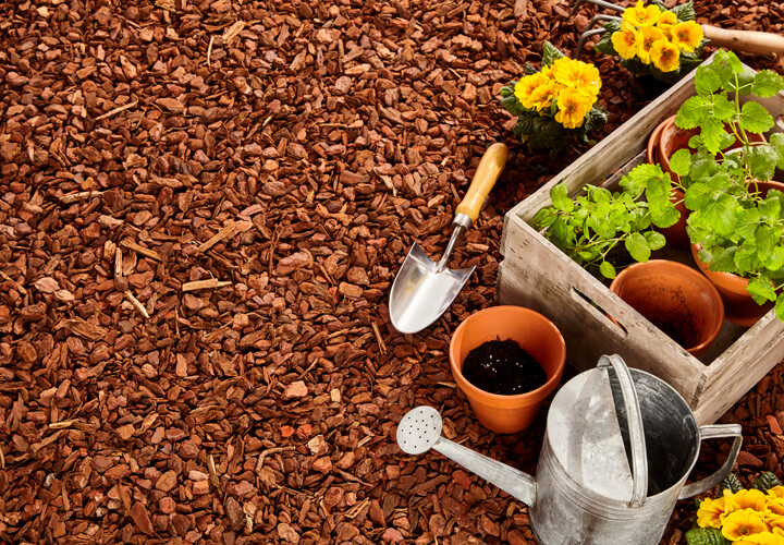 ausgelegtes Rindenmulch, darauf liegt Gartenwerkzeug und Pflanzentöpfe in einer Kiste