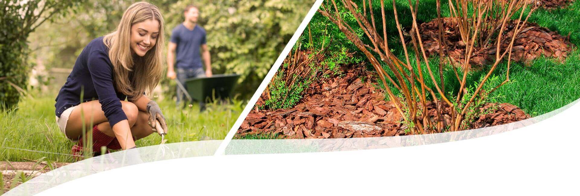 links lachende Frau die in einem Beet hockt, rechts ein Beet mit Rindenmulch ausgelegt